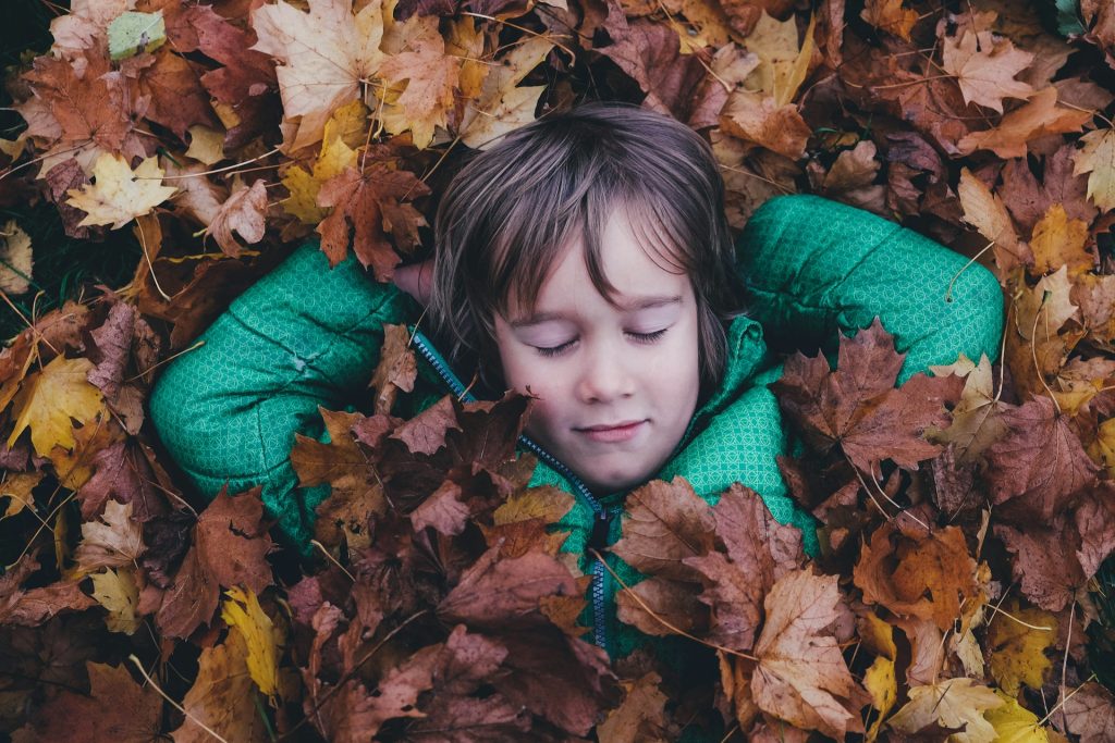 A child with warm fall leaves, captured beautifully for family portraits.