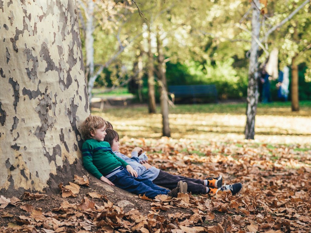 Children sitting surrounded by golden autumn leaves for family portraits.