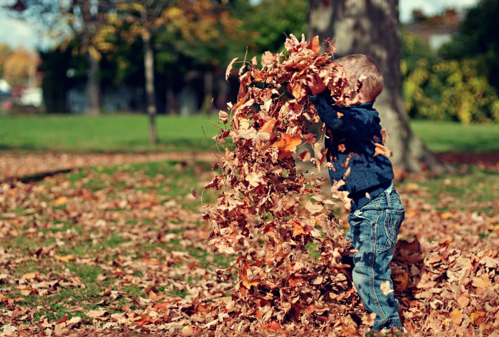 A family portrait captured in warm autumn sunlight surrounded by golden leaves.